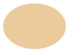 Jane Iredale Amber Pure Pressed Base Mineral Foundation Refill